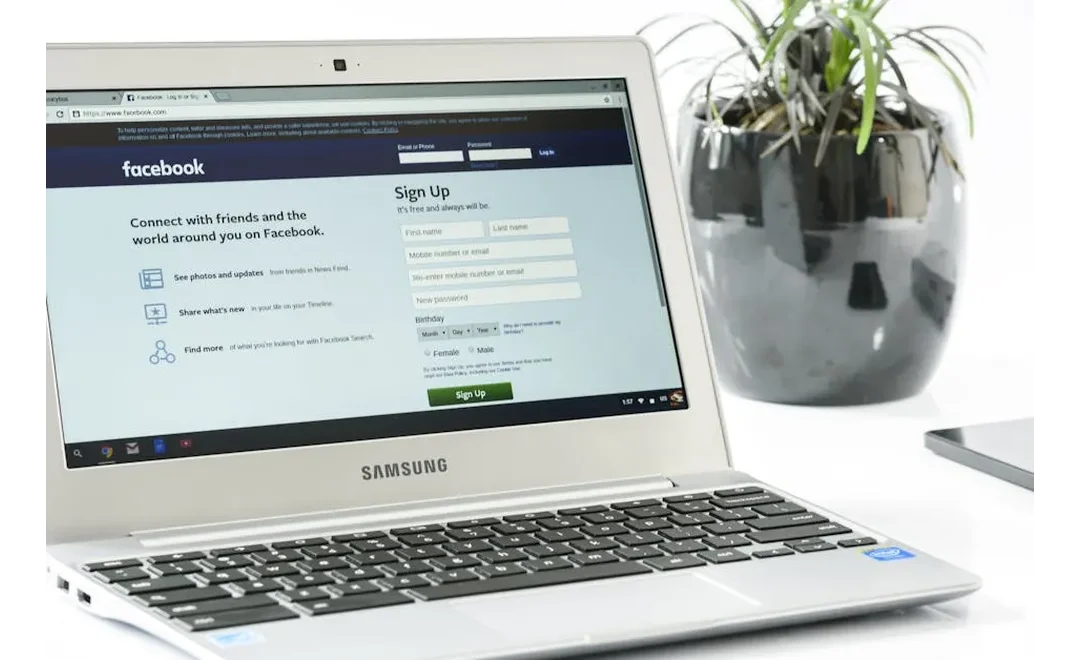 Facebook Gold: Mining Revenue with Data-Driven Ads