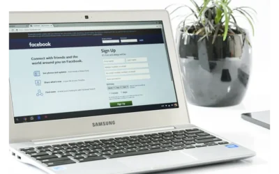 Facebook Gold: Mining Revenue with Data-Driven Ads