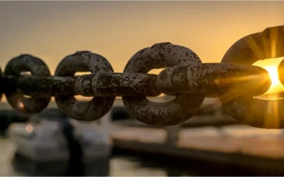 My Journey: Demystifying AI for Supply Chain Pros and Finding New Business