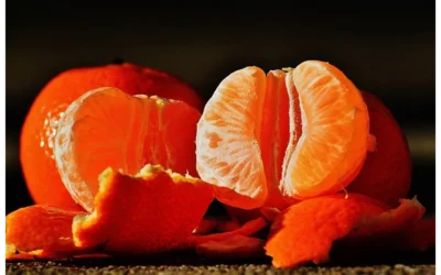 Segmentation Secrets: Unlocking Campaign Success