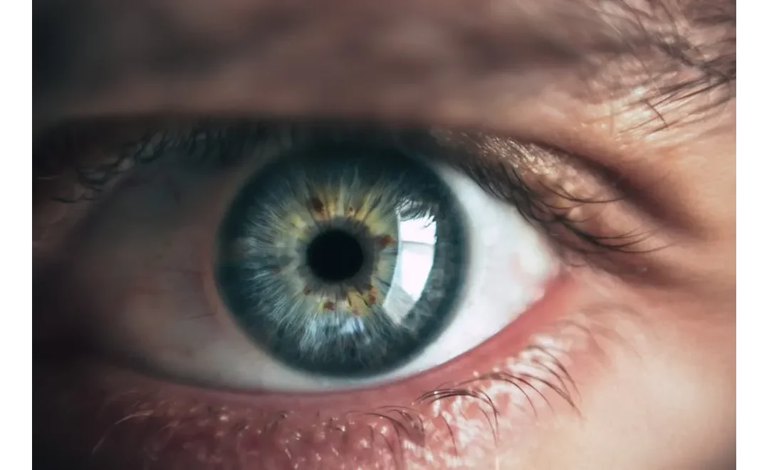 From Broad to Laser-Focused: My Deep Dive into Niche Domination with Segmentation