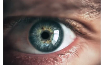 From Broad to Laser-Focused: My Deep Dive into Niche Domination with Segmentation