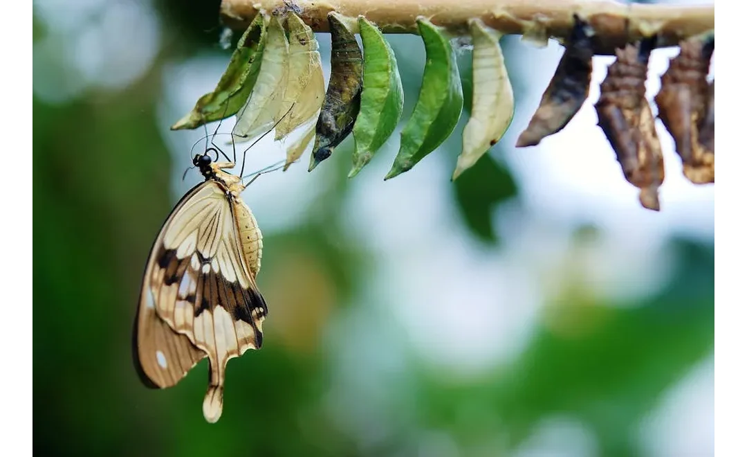 Email Magic: From Boring to Brilliant!