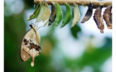 Email Magic: From Boring to Brilliant!