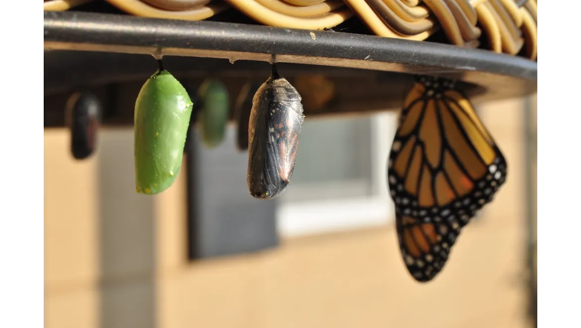 CImages6022890d-6a23-4f2d-800b-865bd809fe50