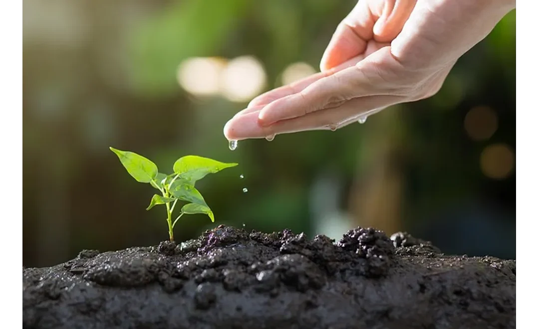 X Marks the Spot: Nurturing Leads the Smart Way