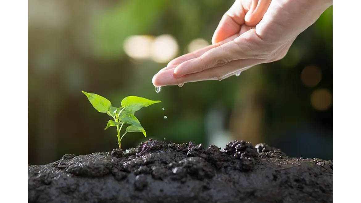 CImages42999ad3-76a0-4489-829c-ede485d1d612