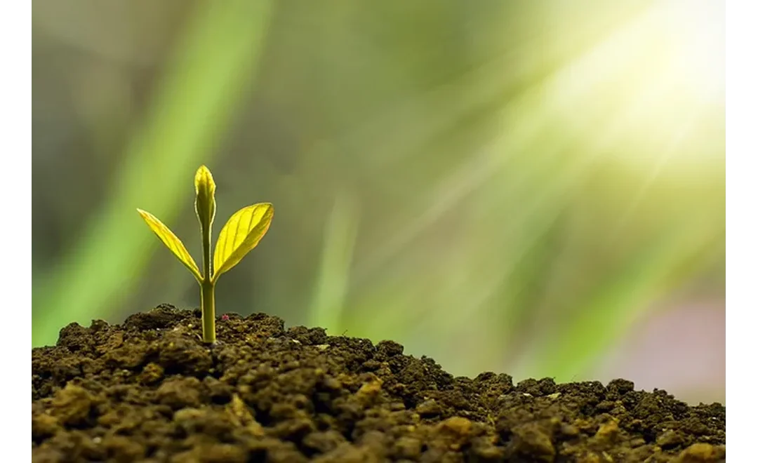 Unleashing Your X Factor: Employee Advocacy for Business Growth