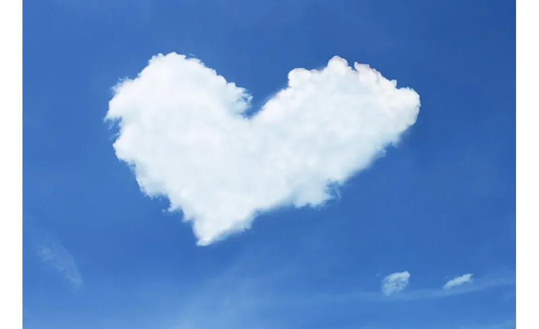 Loyalty Unleashed: X Marks the Spot for Brand Advocates